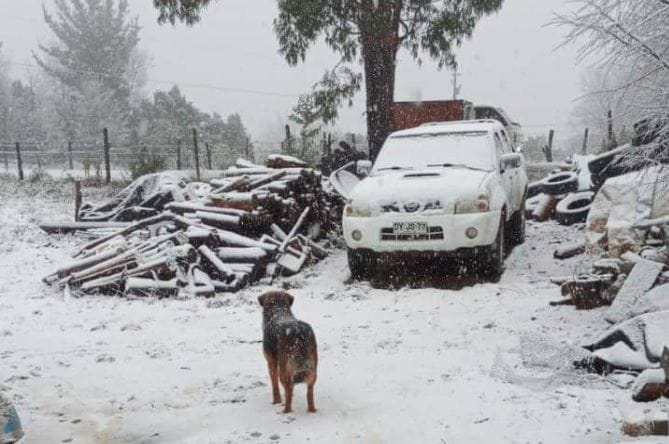 Inusual nevazón sorprende a los vecinos de Santa Juana: Captan fotos y videos