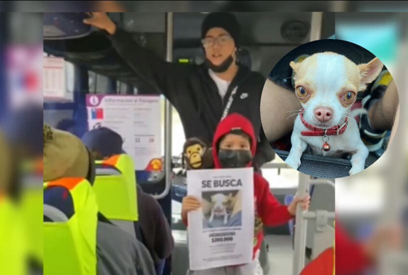 Recuperan a “Brunito” en Concepción: Familia de Tomé buscaba a su perrito hasta en las micros