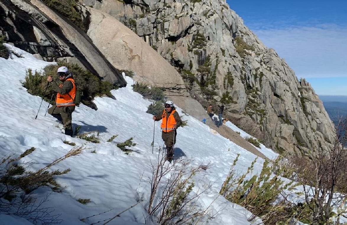 Carabinero del GOPE sufre caída en cerro de San Fabián en medio de búsqueda de estudiante penquista