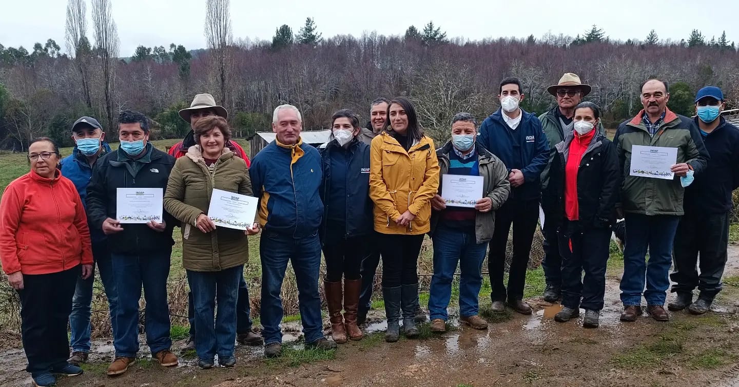 Más de 4 mil agricultores comienzan a recibir incentivos del plan “Siembra Por Chile” en Biobío 