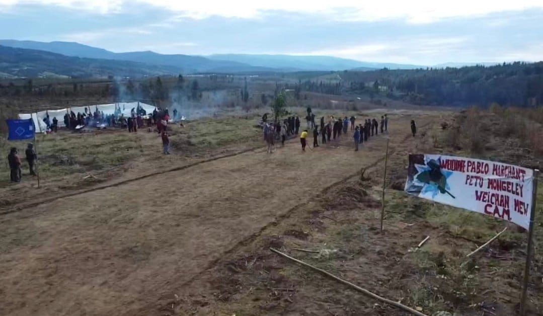 CAM se moviliza: Tomaron siete fundos de empresas forestales en Angol