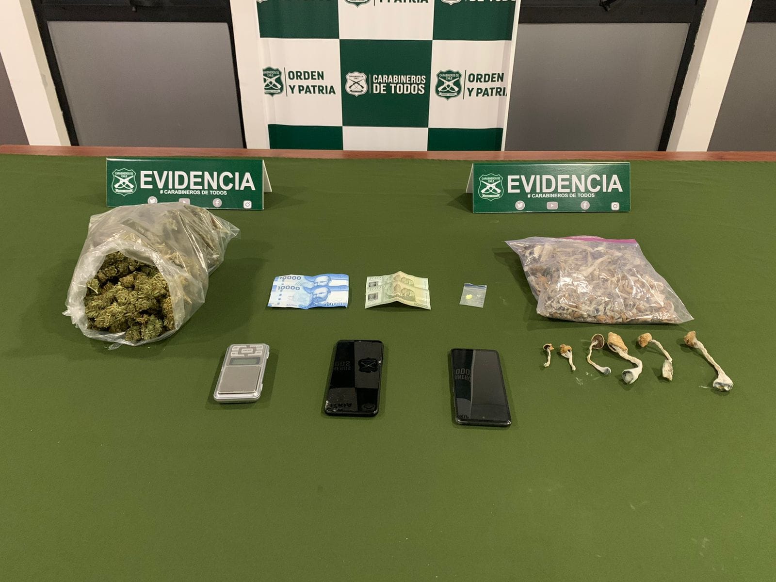 Detienen a pareja que se dedicaba a la venta de marihuana y hongos en Mulchén