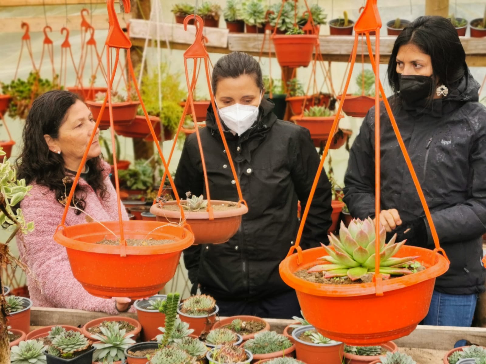Lanzan nuevo concurso para mujeres agricultoras en la Región del Biobío