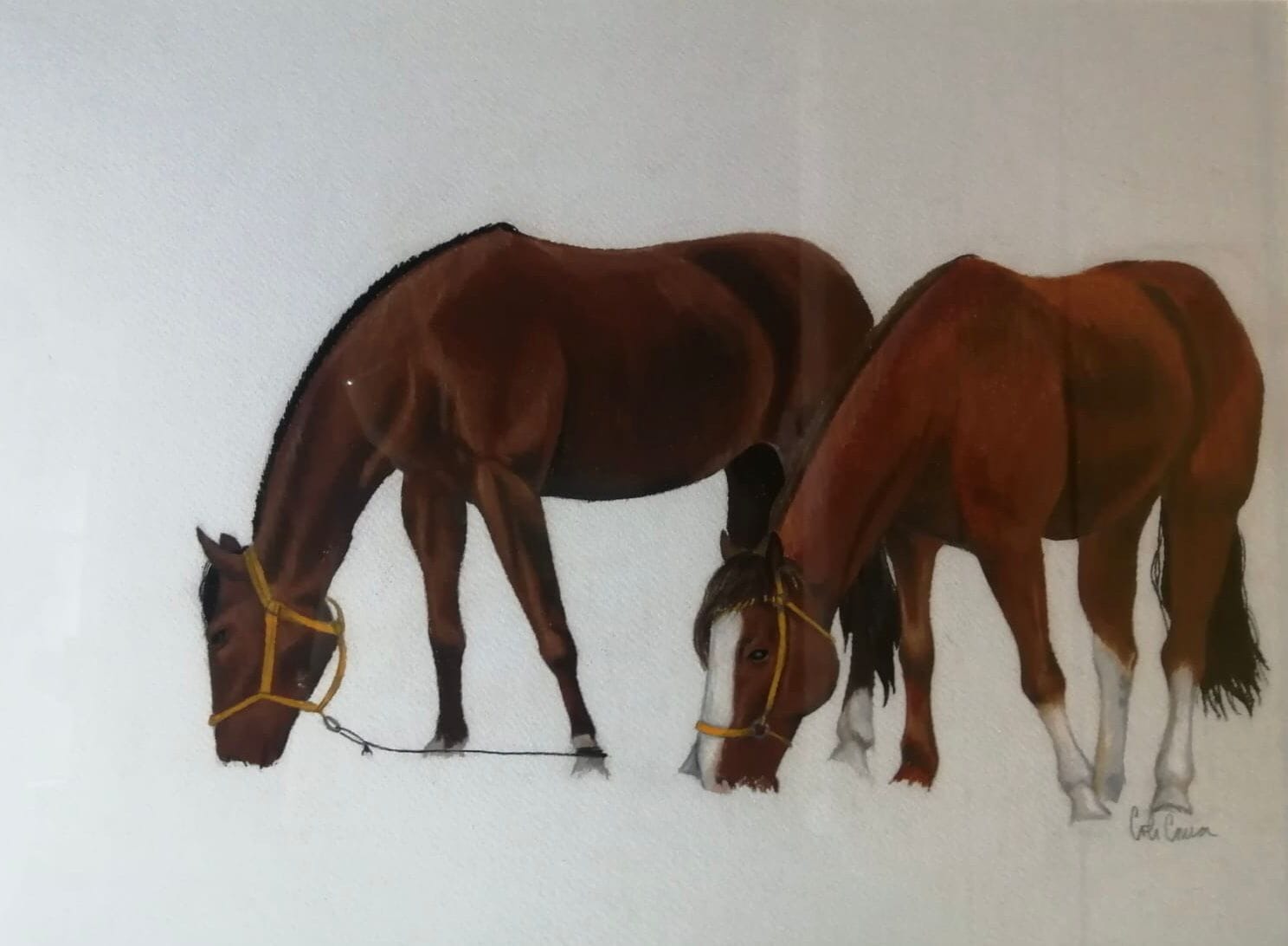 Ex Cine Windsor presenta la exposición “Caballo Chileno” de la reconocida artista visual María José Correa