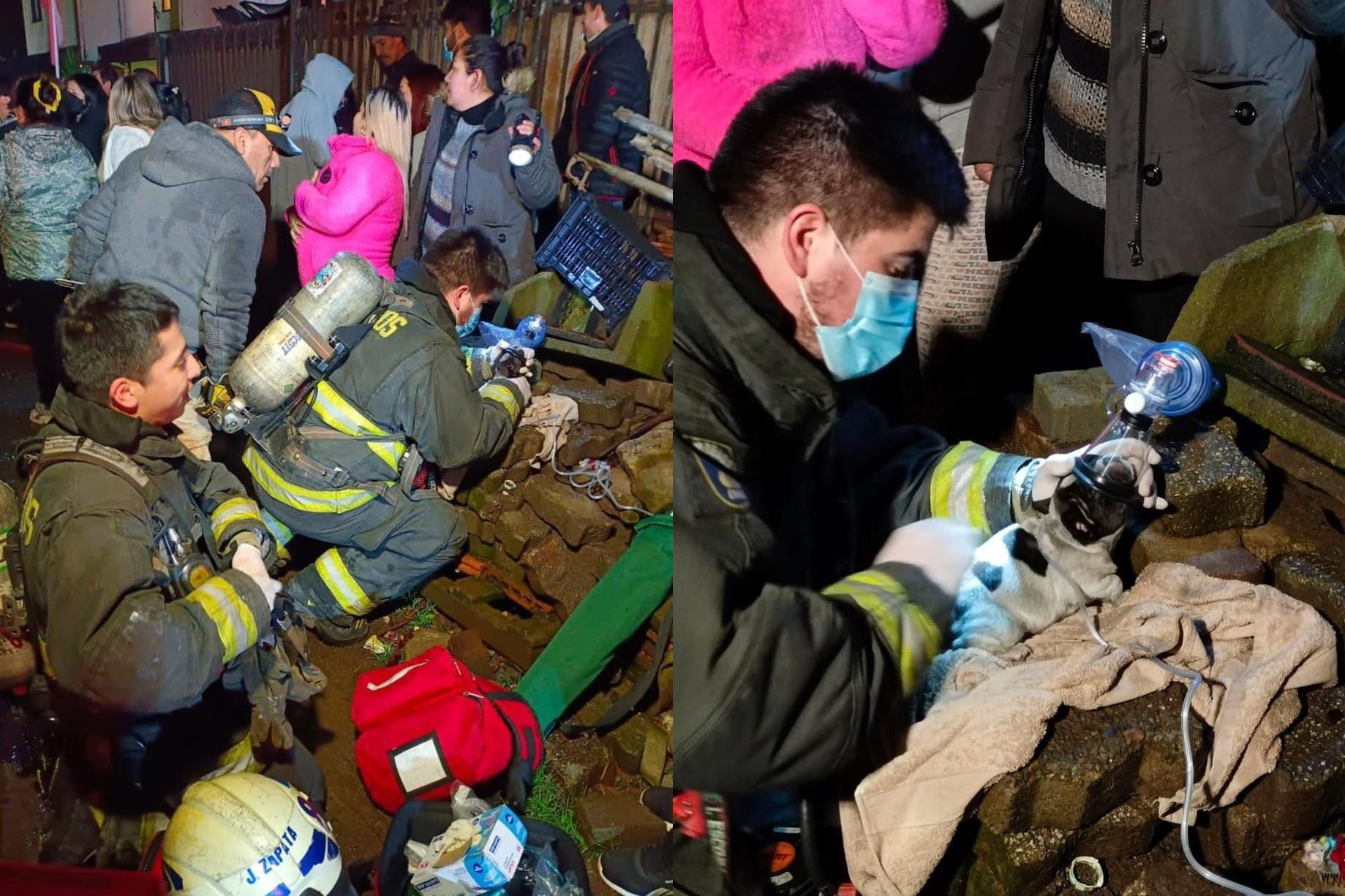 Bomberos de Concepción logró reanimar y salvar cachorritos durante incendio de vivienda