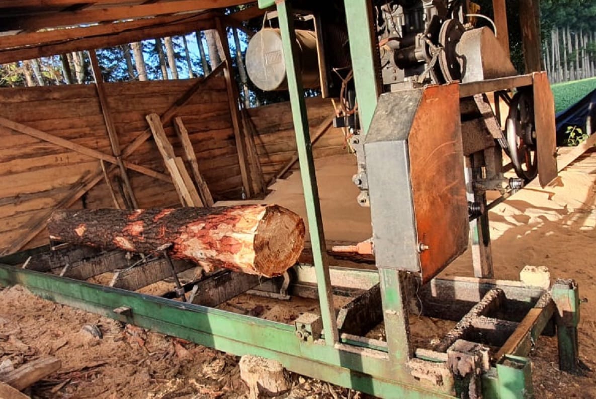 Sujeto mantenía aserradero ilegal en Cañete con más de 20 metros cúbicos de madera: Quedó detenido