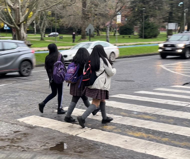 Editorial: Falta de matrículas no es culpa de este Gobierno, pero si es su responsabilidad solucionar el tema