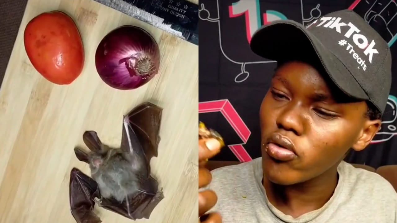 Joven casi pierde la vida por reto viral de TikTok: Se comió un murciélago