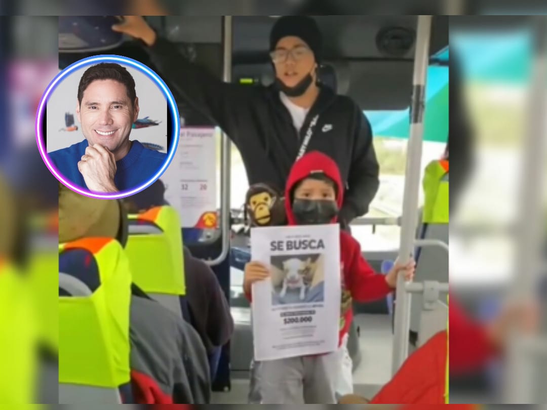 Roban perrito a familia de Tomé: Pancho Saavedra y rostros de TV comparten historia para ayudar