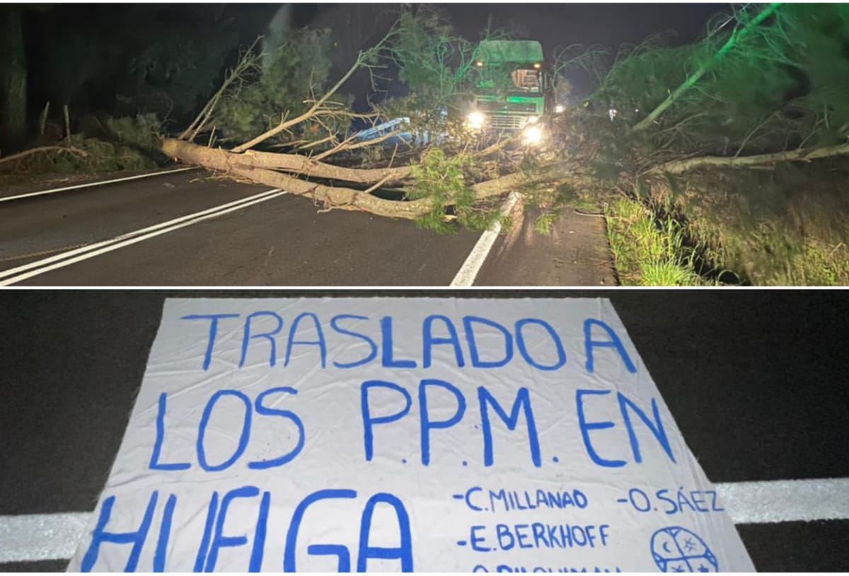 Grupos de resistencia Mapuche hacen llamado a “aunar fuerzas y generar alianzas contra el estado y el sistema capitalista”