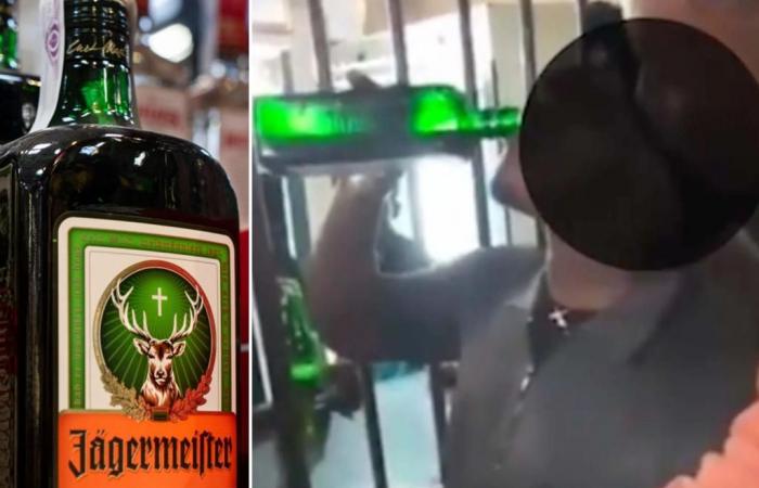 Fatal concurso en botillería: Joven murió tras beber un frasco completo de Jägermaister