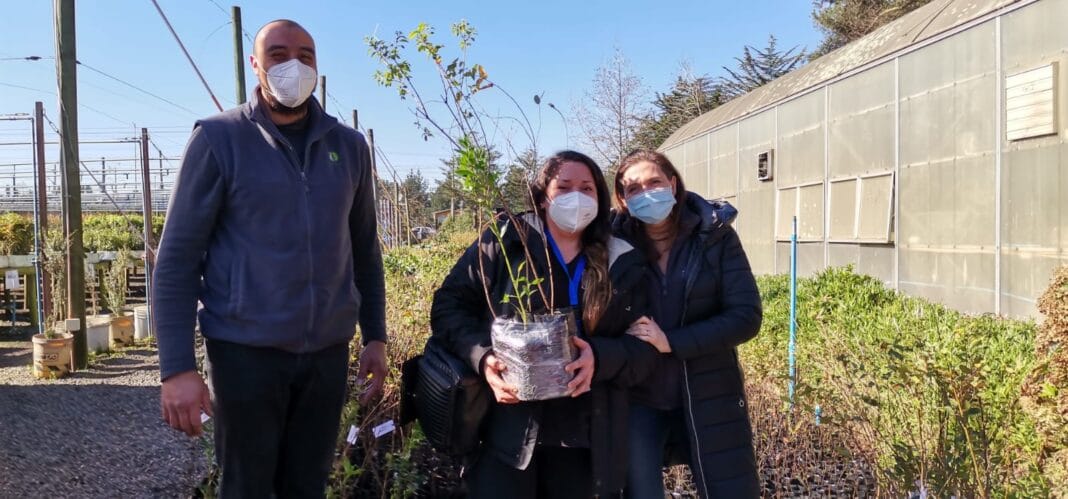 Medio Ambiente entrega árboles nativos a jardines infantiles del Biobío