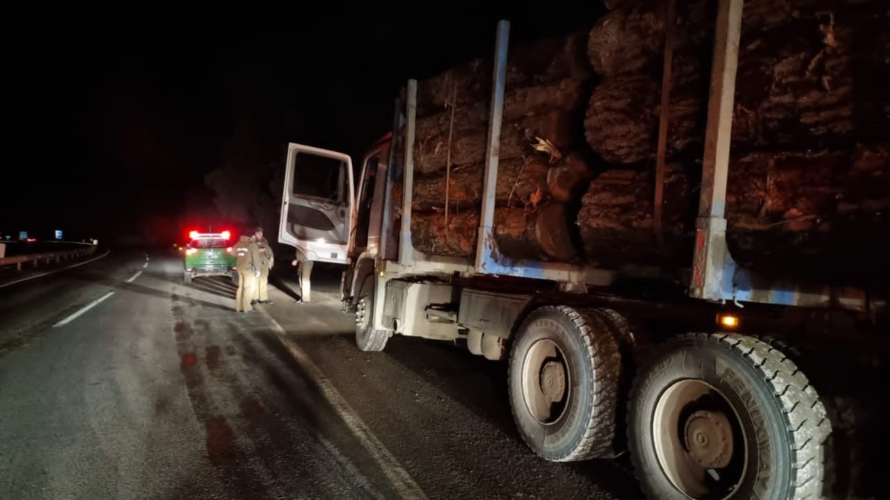 Carabinero desenfundó arma para detener a camionero que trasladaba madera desde Provincia de Arauco