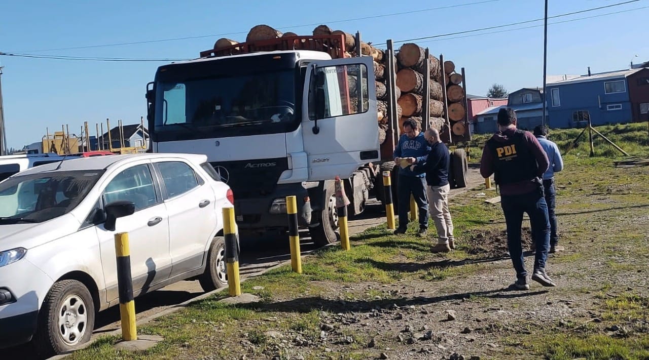 Autoridades del Biobío apuntan a ‘Sanhattan’ como la “cúspide de la pirámide” del robo de madera