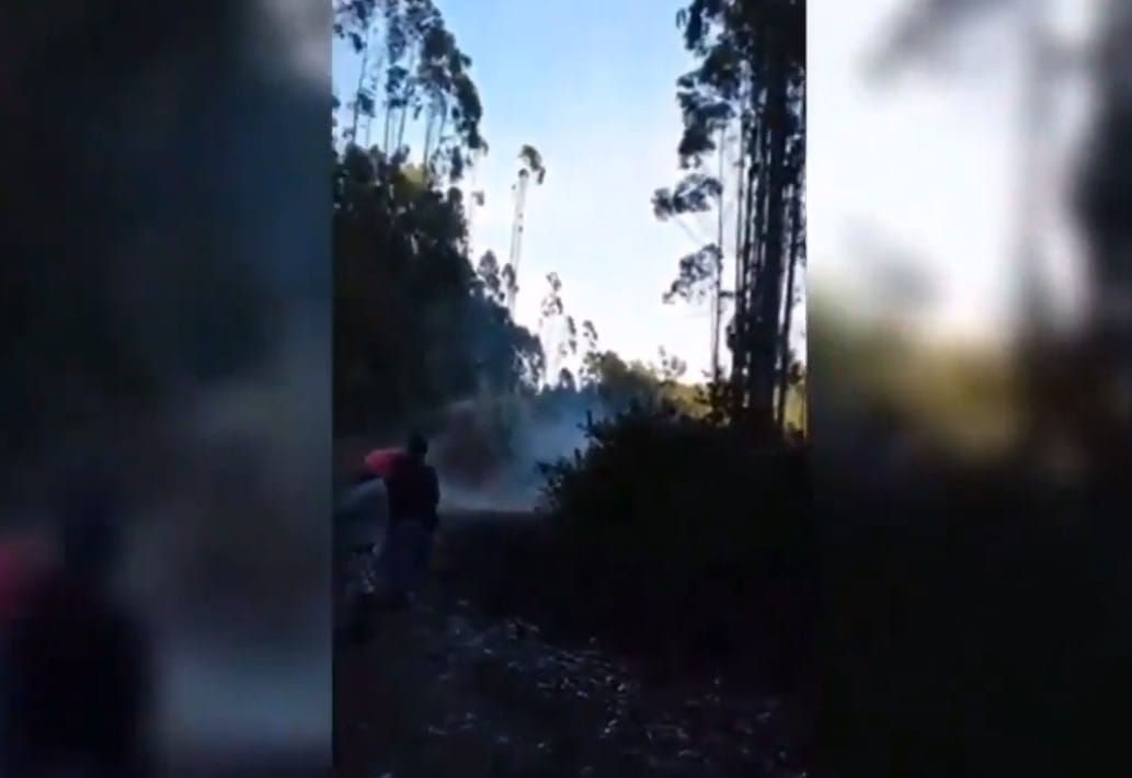 Niño de 3 años lesionado y otros cuatro intoxicados por lacrimógenas deja intervención de Carabineros en Arauco