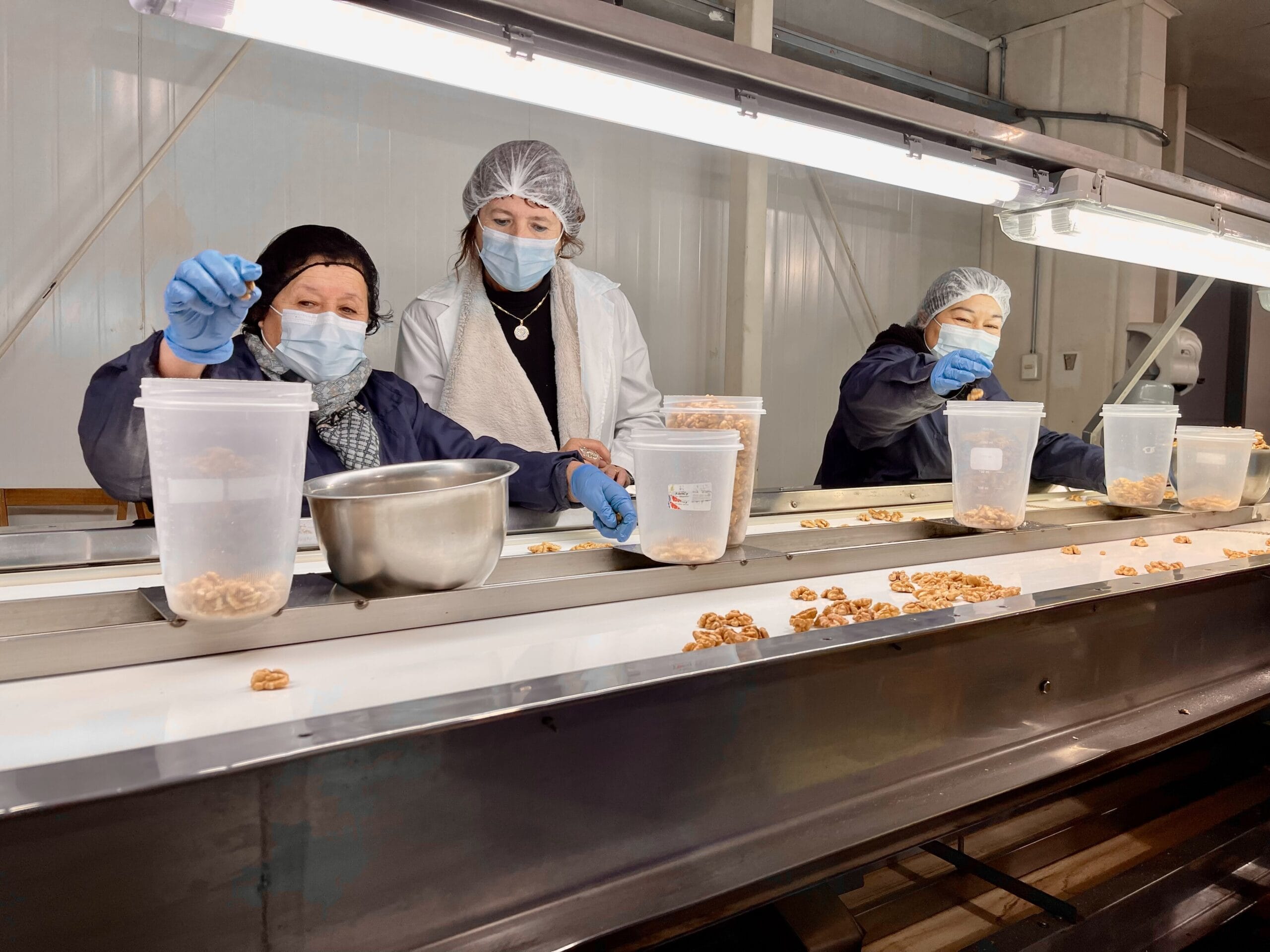Llaman a agricultoras del Biobío a postular a al Premio Nacional de la Mujer Innovadora en Agricultura