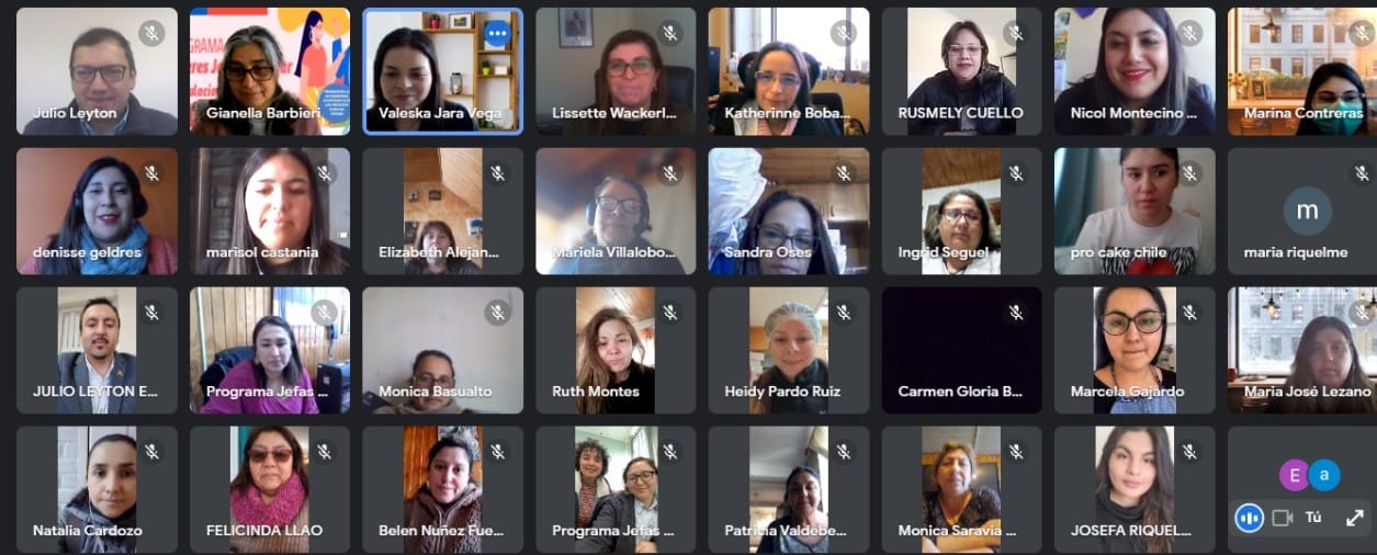Mujeres de programas de SernamEG se adjudicaron Capital Abeja en Biobío