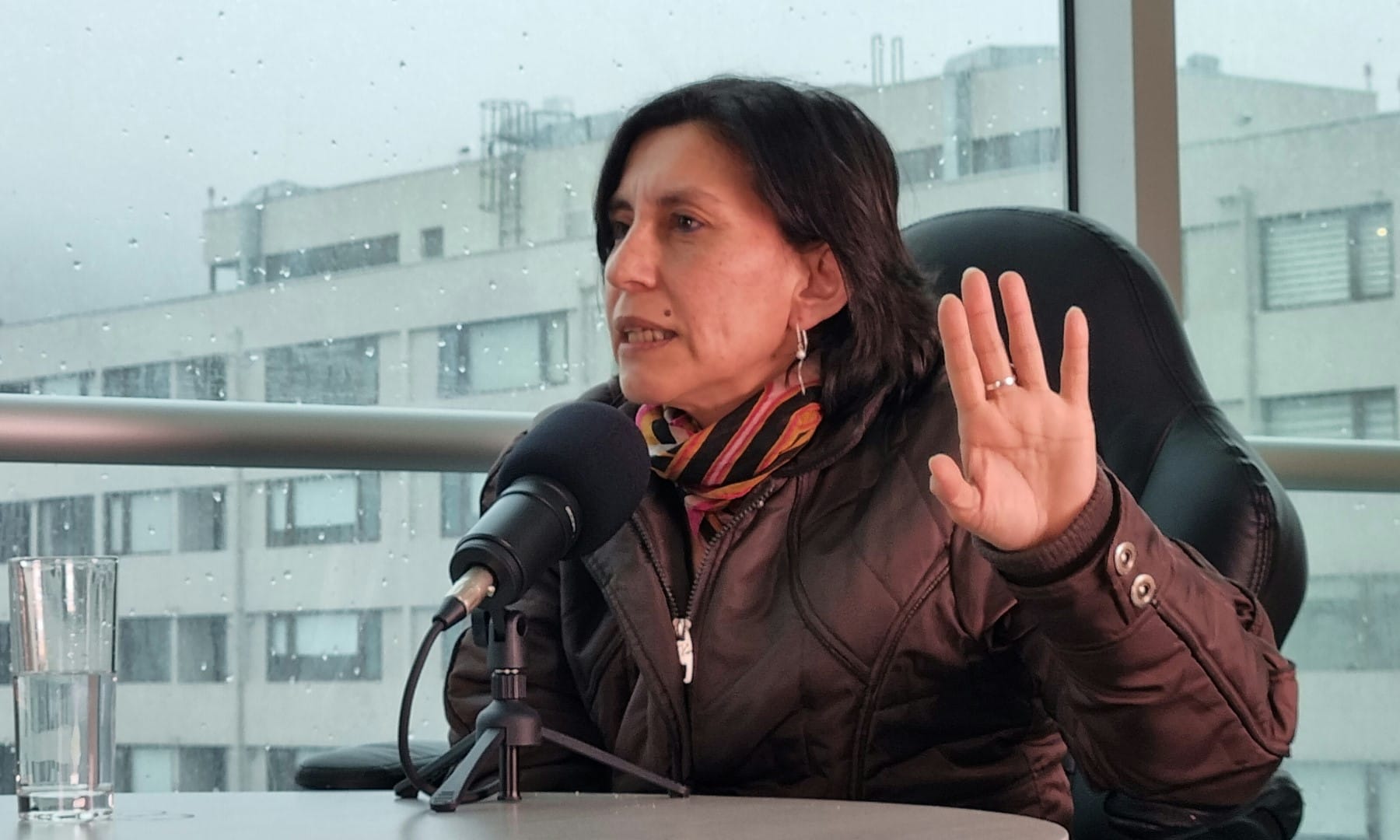 Ex convencional constituyente Loreto Vidal: “Gana el Apruebo, es un hecho irrefutable”