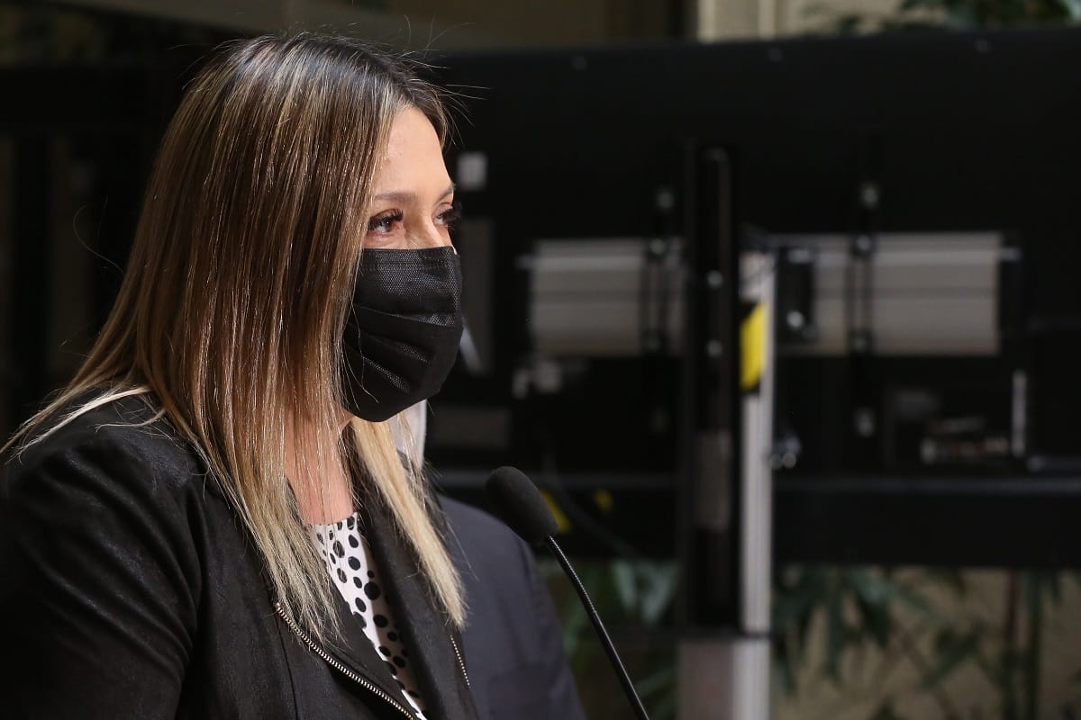 Diputada Pérez exigió seriedad al Gobierno por el Plebiscito: “No está informando que voto es obligatorio”