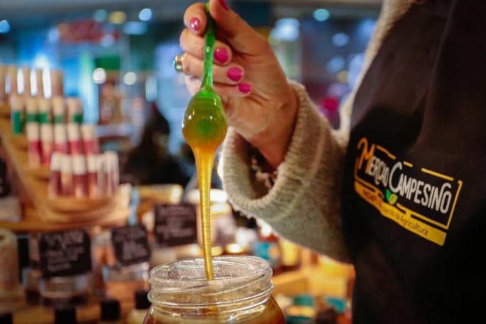 Apicultores del Biobío expondrán sus mejores productos en Mercado Campesino de la Miel 