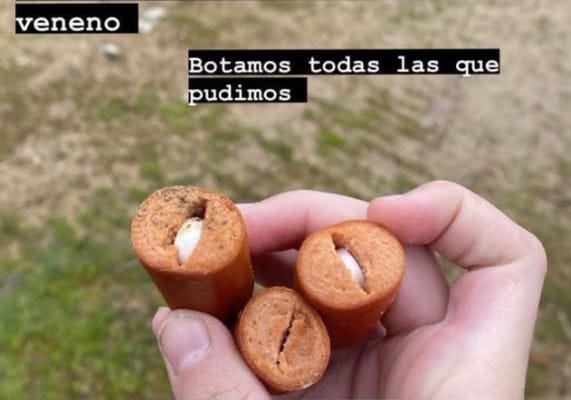Preocupación por perritos en Chiguayante: Dejan vienesas rellenas con vidrio y veneno para matarlos