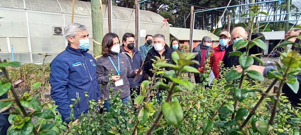 Destacan trabajo de Infor su contribución al desarrollo forestal sustentable en la Región del Biobío