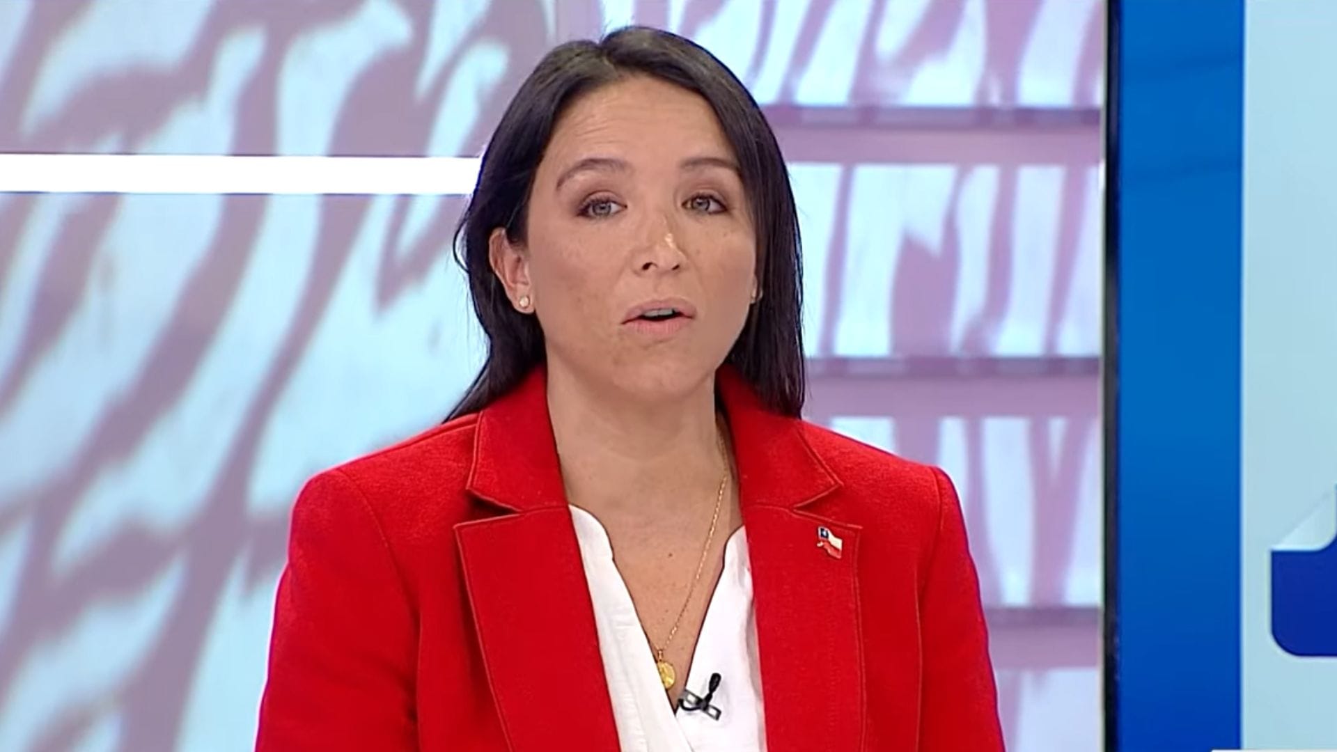 Grupo transversal de mujeres defiende la paridad ante dichos de exconvencional del Biobío Rocío Cantuarias