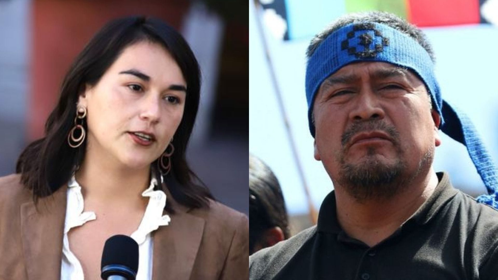 Ministra Siches por declaraciones de Llaitul: “Estábamos conscientes de que el robo de madera es una de las fuentes de financiamiento”
