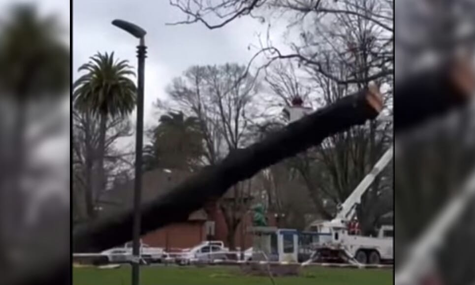 Busto de Simón Bolivar destruido por árbol talado en el Parque Ecuador de Concepción está listo para volver a su lugar