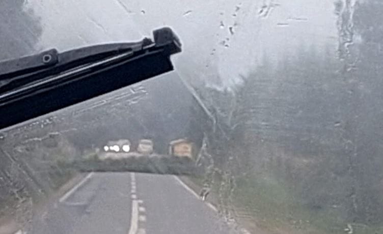 Encapuchados derribaron árboles y bloquearon el camino entre Tirúa y Cañete