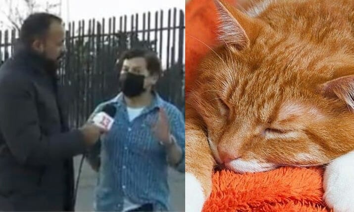 Joven se levantó a las 6 de la mañana a votar y así volver pronto a cuidar a su gatito enfermo