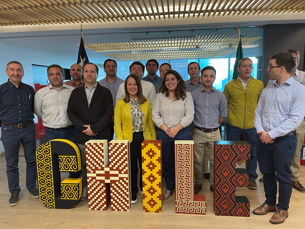 Pymes del Biobío proyectan exportación de madera a tres nuevos países en el extranjero