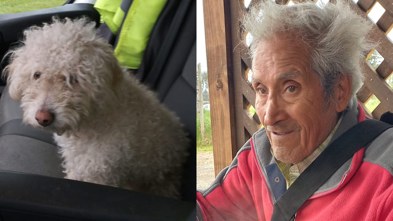 El emotivo reencuentro entre un adulto mayor y su perro “Cachupín” tras separarse durante viaje en bus