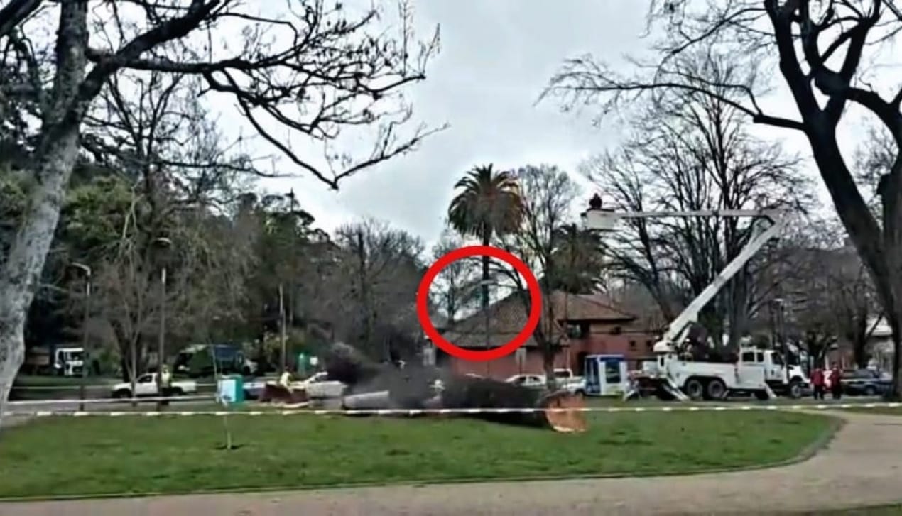 Restauran y entregan monumento que voló tras ser golpeado por árbol talado en Parque Ecuador