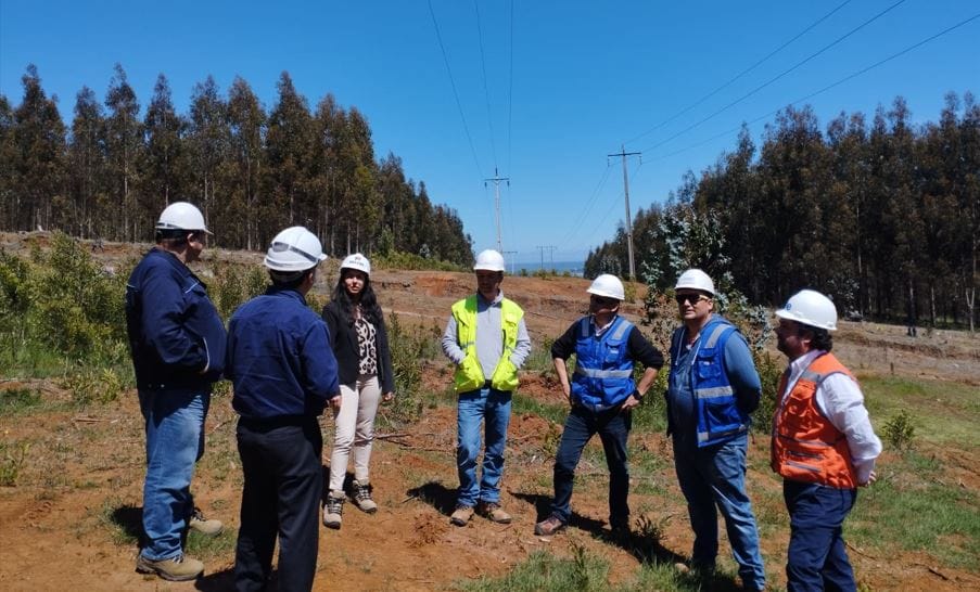CGE Transmisión, Seremi de Energía y SEC Biobío inspecionan franjas de seguridad en Línea Coronel-Horcones