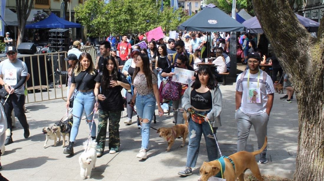 Penquistas realizan caminata contra maltrato y abandono animal: Incentivan tenencia responsable
