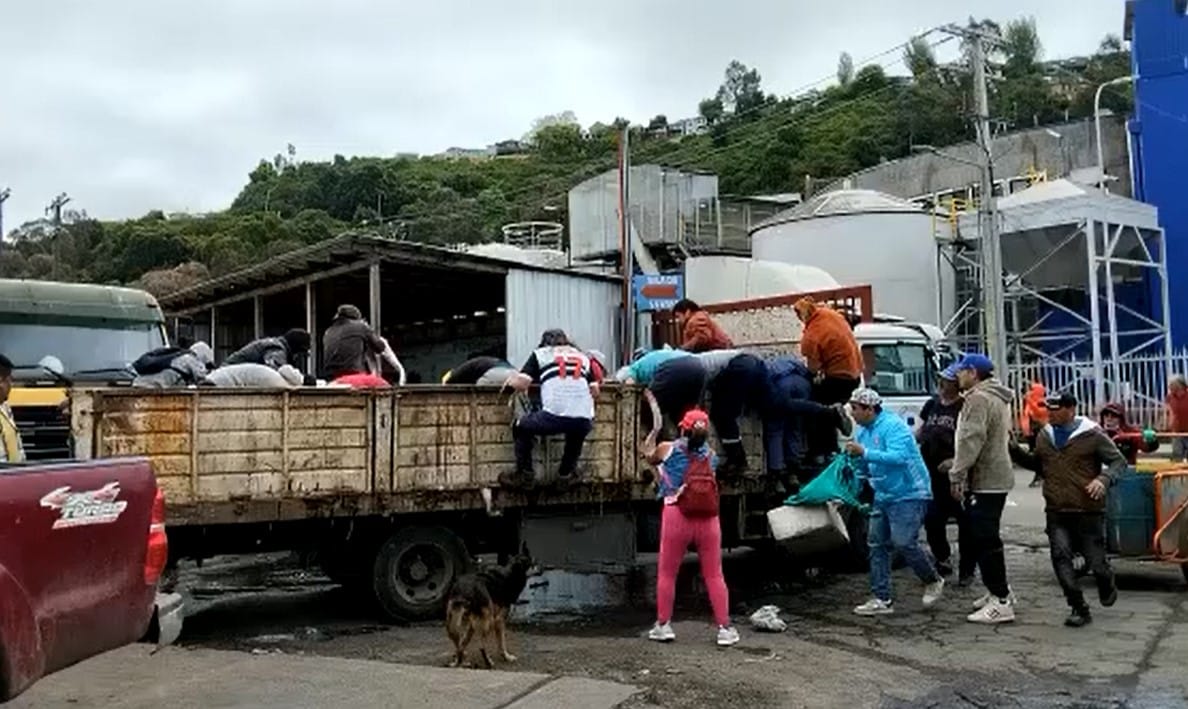 Turba robó 5 toneladas de congrio incautado por Sernapesca en Talcahuano