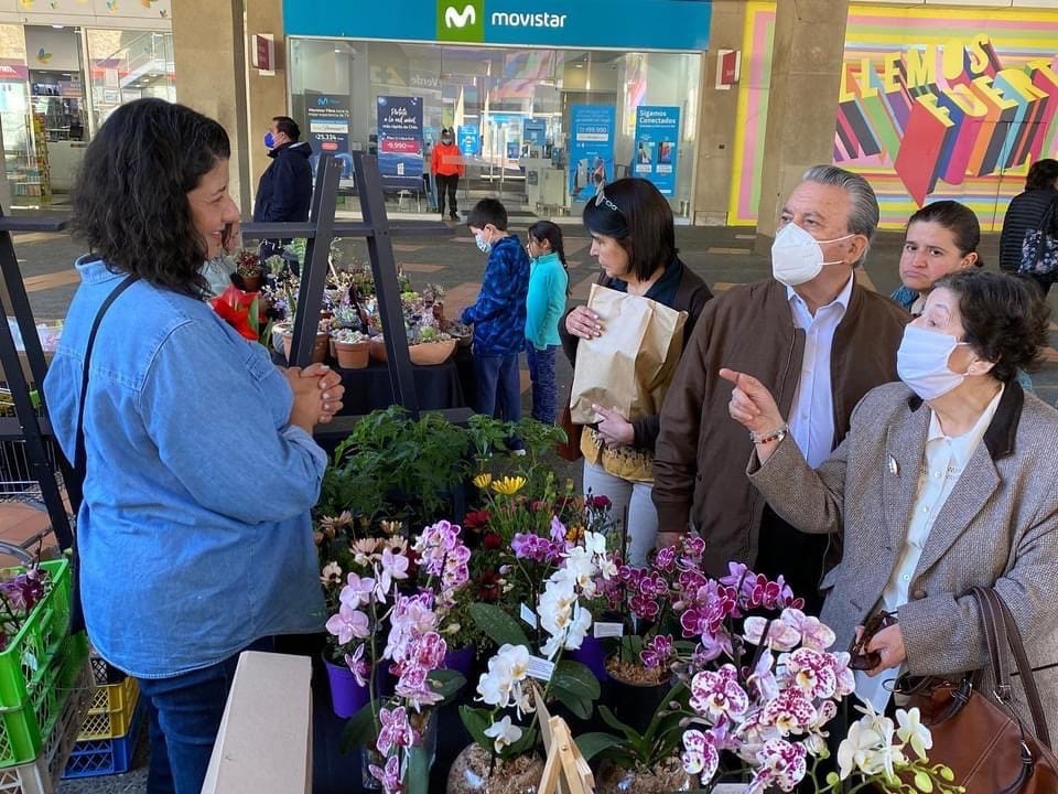 Calidad y origen local: 10 productores del Biobío comercializaron sus flores y plantas en Mercado Campesino