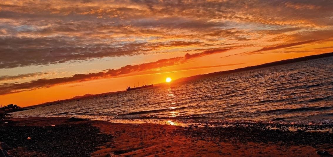 Escolares de Penco se conectan y vinculan con la naturaleza a través de concurso de fotografías
