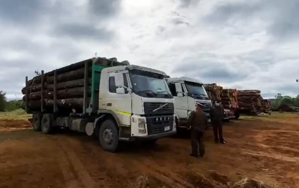 Corte de Concepción revocó cautelares y envía a la cárcel a “El Mentolato”