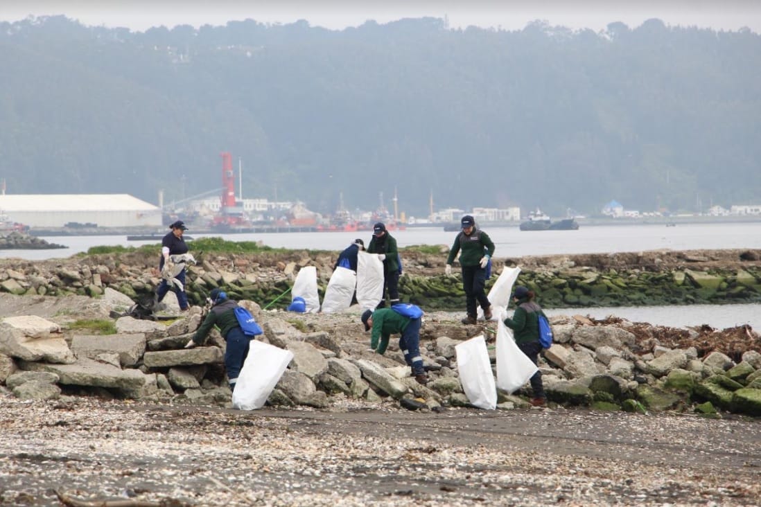 Limpieza de playas en Talcahuano: Más de 400 voluntarios recogieron cerca de tres toneladas de basura