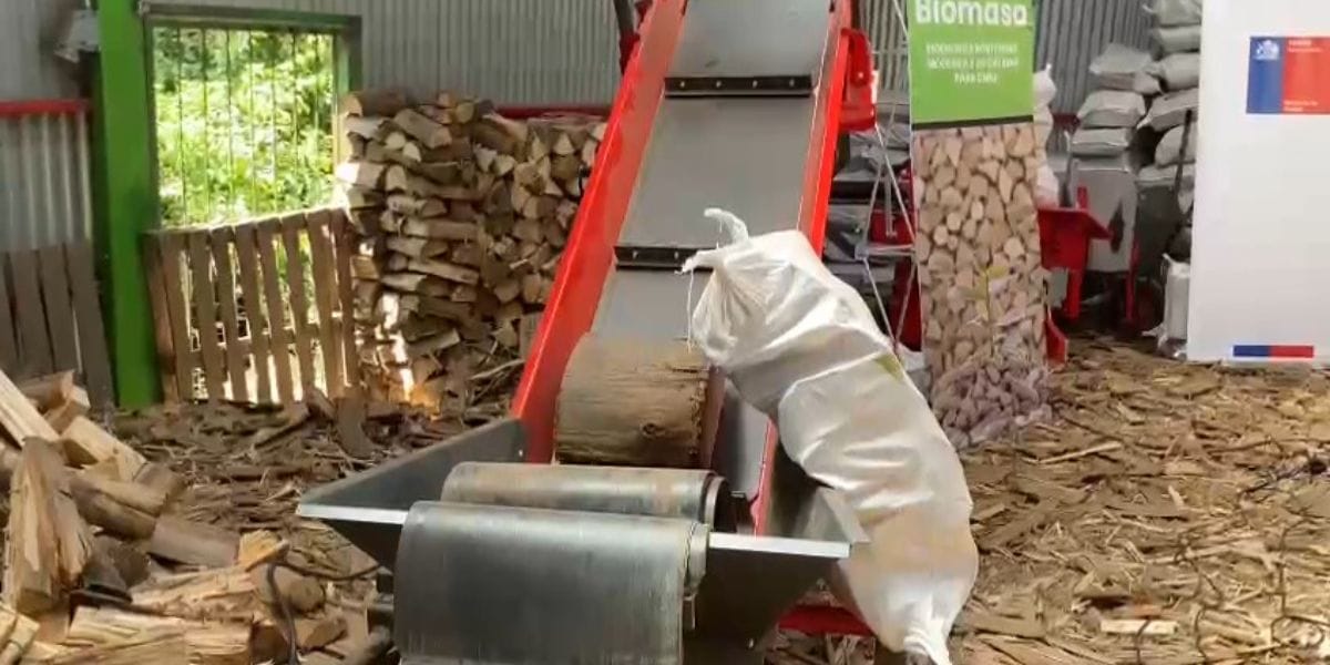 Biobío contará con Centros Integrales de Biomasa: Busca potenciar oferta de biocombustibles