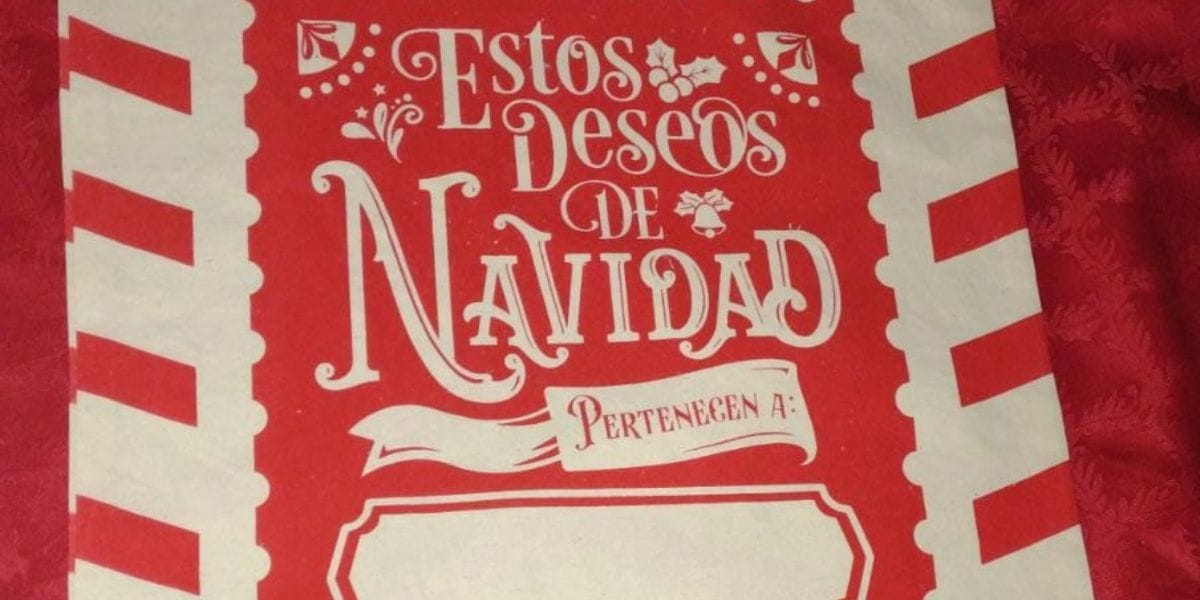 Bolsas navideñas se venderán en Mall del Centro Concepción y lo recaudado irá en ayuda de hospital