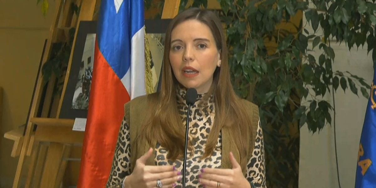 Chahuán actualizó estado de salud de Camila Flores y aseguró que “requiere ser investigado”