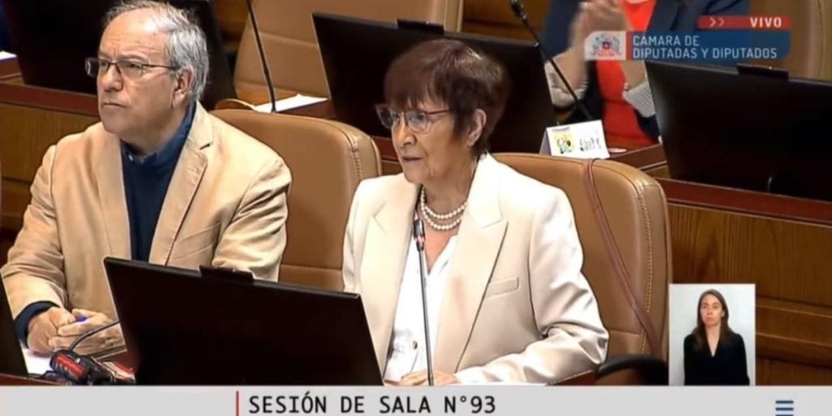 ¡Cállense jauría!: Diputada Carmen Hertz reacciona a bancada de la UDI