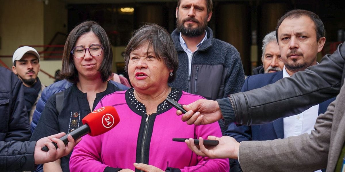 Diputada Acevedo: “Solicitar el estado de excepción para el Gran Concepción es solo una medida populista”