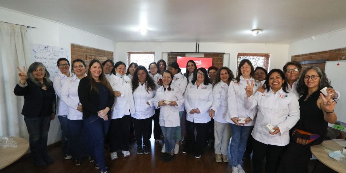 Más de 200 mujeres del Gran Concepción se capacitan para la inserción laboral y la autonomía económica