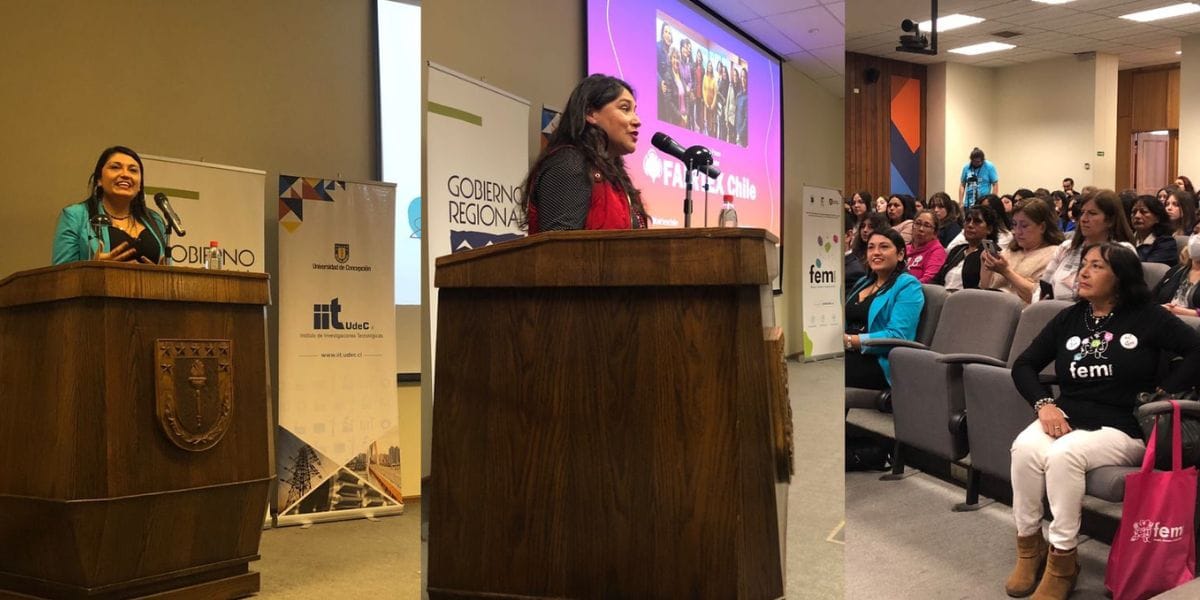 “FEM Biobío”: Lanzan iniciativa que busca fomentar y visibilizar el emprendimiento femenino