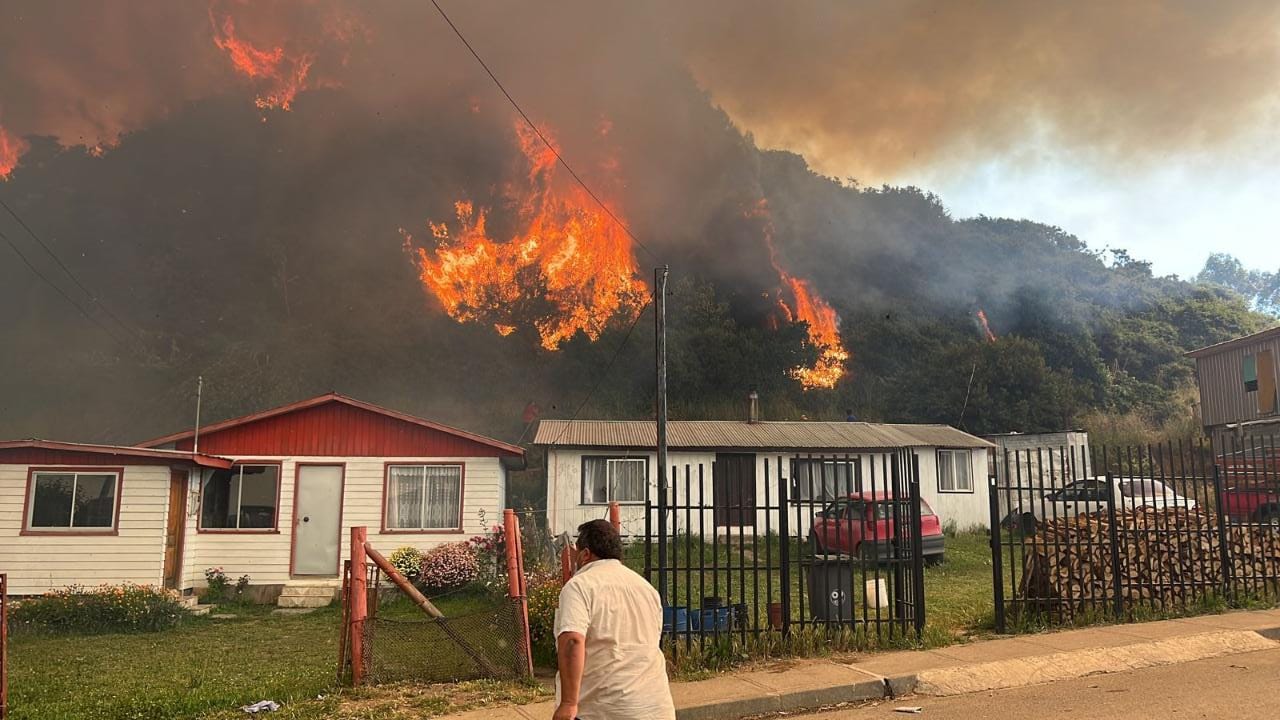 Combaten incendio forestal en la Provincia de Arauco: Hay una persona detenida