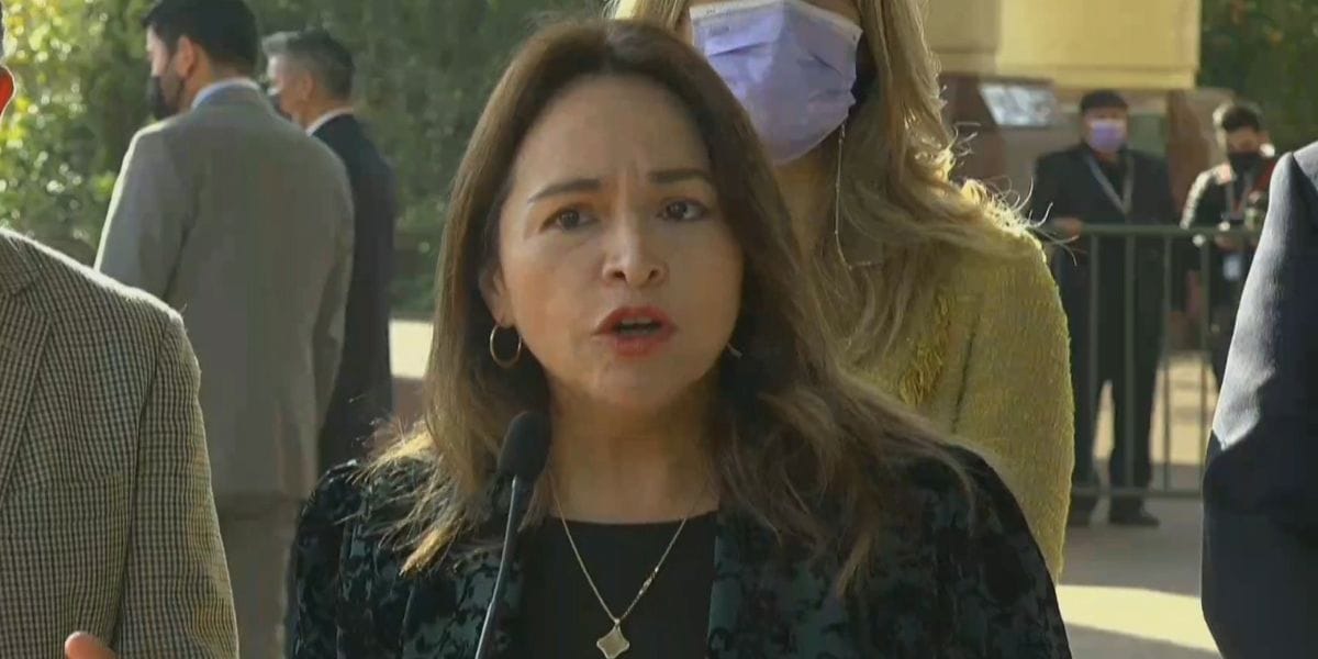 Diputada Joanna Pérez renunció a la DC: También lo hizo Jorge Saffirio